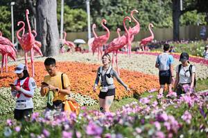 BIB: 
                            <button type="button" onclick="openModal(27794342)" class="btn btn-primary btn-sm float-right btn-popup" data-toggle="modal" data-target=".modal-high-quality">
                        <i class="fas fa-shopping-cart"></i> Add to Cart
                    </button>
                                            <button type="button" onclick="isThisMe(27794342, true)" class="btn btn-success btn-sm float-right btn-popup btn-isme hidden" data-toggle="tooltip" data-placement="bottom" title="นี่คือรูปของคุณใช่ไหม คลิกที่นี่เพื่อเอาเข้าอัลบั้ม">
                        <i class="fas fa-plus"></i> Add to album
                    </button>
                    <button type="button" onclick="isThisMe(27794342, false)" class="btn btn-warning btn-sm float-right btn-popup btn-isnotme hidden">
                        <i class="fas fa-ban"></i> Remove from album
                    </button>